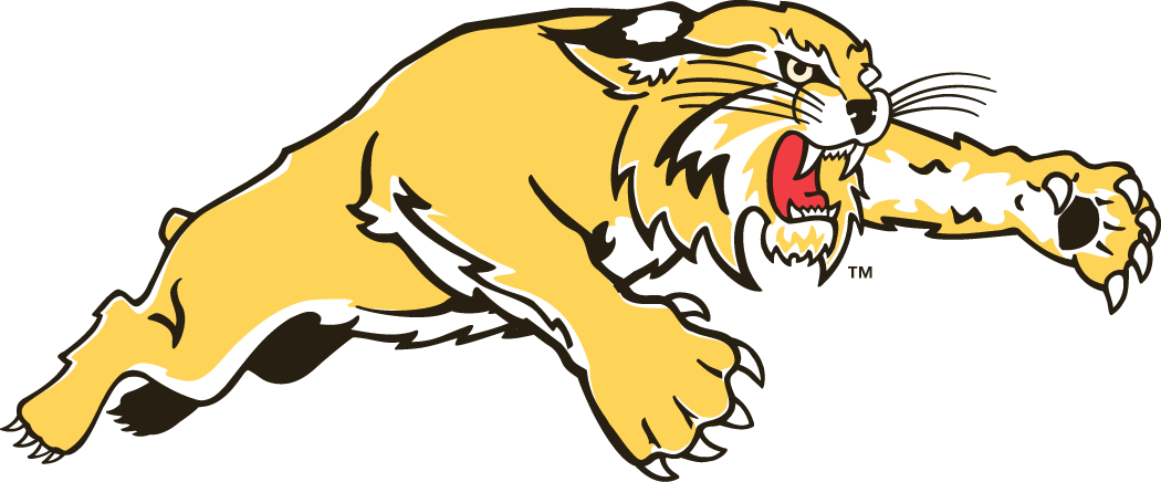 Western Carolina Catamounts 1996-2007 Alternate Logo v2 diy iron on heat transfer